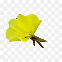 һ���ɫ�¼���ͼƬ�ز�-������