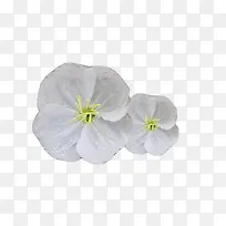 ��ɫ�¼���ͼƬ�ز�-������