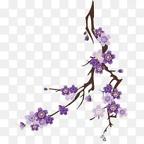 ӣ����֦-������