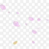 粉色花瓣漂浮-空若网 粉色花瓣漂浮-空若网
