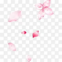粉色花瓣漂浮-空若网 粉色花瓣漂浮-空若网