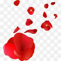 ���仨��Ư��-������