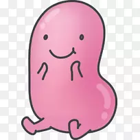 明胶甜点果冻豆果冻肚皮糖果公司动画-纺织-空若网 明胶甜点果冻豆果冻肚皮糖果公司动画-纺织-空若网