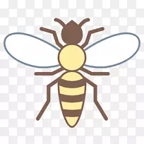 昆虫蜜蜂传粉动物黄蜂-空若网 昆虫蜜蜂传粉动物黄蜂-空若网