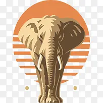 Ұ�����������-������