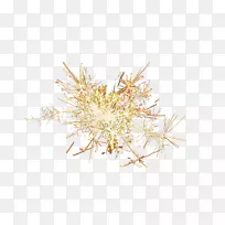 ��֦-��Ů��-������