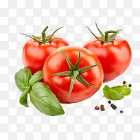 �������ʵ�������-������