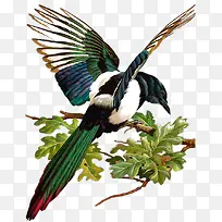 手绘工笔花鸟画素材-空若网 手绘工笔花鸟画素材-空若网