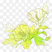 黄色手绘喇叭花-空若网 黄色手绘喇叭花-空若网