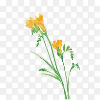 手绘黄色的喇叭花-空若网 手绘黄色的喇叭花-空若网