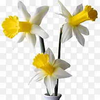 ˮ�ʻ�ɫ�������Ȼ�-������