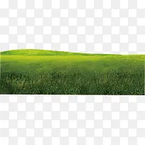 高清摄影绿色大草原-空若网 高清摄影绿色大草原-空若网