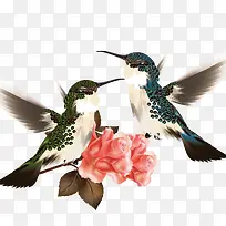 喜鹊枝头-空若网 喜鹊枝头-空若网