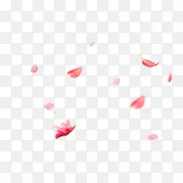 Ư¸¡ÎïPNGËØ²Ä-¿ÕÈôÍø Ư¸¡ÎïPNGËØ²Ä-¿ÕÈôÍø