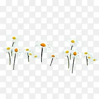 ��ɫ�����տ�����-������