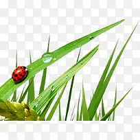 ��Ӱ���պ���ˮ��ݴ�-������