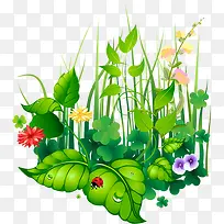 摄影夏日手绘花朵草丛-空若网 摄影夏日手绘花朵草丛-空若网