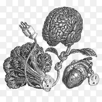 矢量心脑血管疾病防治插画-空若网 矢量心脑血管疾病防治插画-空若网