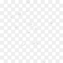 散落白色花瓣-空若网 散落白色花瓣-空若网