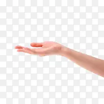 手-空若网 手-空若网