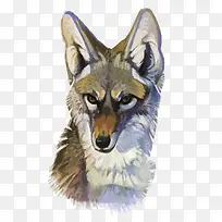 卡通可爱小动物装饰设计动物头像-空若网 卡通可爱小动物装饰设计动物头像-空若网