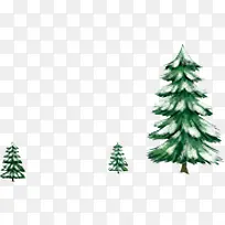 雪松树-空若网 雪松树-空若网