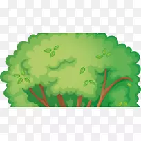 ��ľ����������-Arboles-������