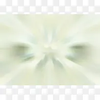 ����Ƽ�����136-������