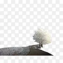 冬天的树-空若网 冬天的树-空若网