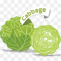 ¸ÊÀ¶°×²ËÊß²ËʸÁ¿ËزÄ-¿ÕÈôÍø ¸ÊÀ¶°×²ËÊß²ËʸÁ¿ËزÄ-¿ÕÈôÍø