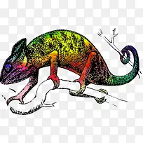 彩色的变色龙-空若网 彩色的变色龙-空若网