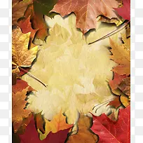 树叶背景-空若网 树叶背景-空若网