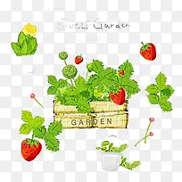 水果背景图-空若网 水果背景图-空若网