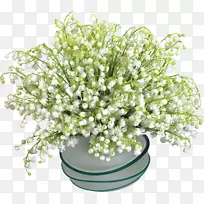 ���ܲ���-�ٺϻ�ɽ��-������