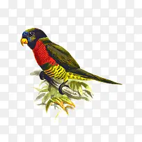 һֻ��˵��������-������