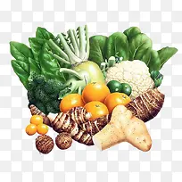 绿色蔬菜-空若网 绿色蔬菜-空若网