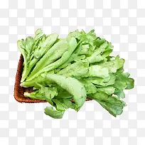 塘槁-空若网 塘槁-空若网