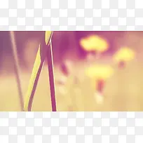 ���⾰��Ч��������֦Ψ�������ֽ-������