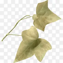 Ö¦Ò¶ËØ²ÄͼƬ-¿ÕÈôÍø Ö¦Ò¶ËØ²ÄͼƬ-¿ÕÈôÍø