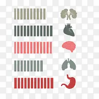 彩色内脏-空若网 彩色内脏-空若网
