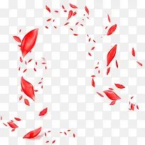 红柚水果背景-空若网 红柚水果背景-空若网