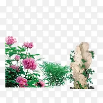 鲜花岩石草丛素材-空若网 鲜花岩石草丛素材-空若网