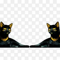 ����è-������