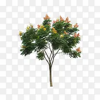 ±ðÖµÄÊ÷-¿ÕÈôÍø ±ðÖµÄÊ÷-¿ÕÈôÍø