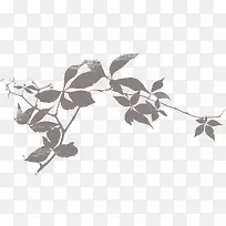 枝叶剪影-空若网 枝叶剪影-空若网