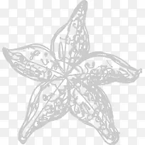 �۱��ֻ溣��-������