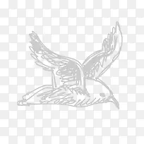 �۱��ֻ����-������