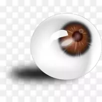 �������۲�ɫ������-������