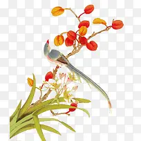 矢量手绘花鸟-空若网 矢量手绘花鸟-空若网