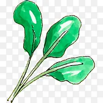 水彩清新蔬菜菜叶-空若网 水彩清新蔬菜菜叶-空若网